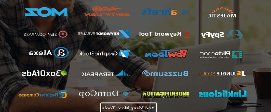 seo plaform vs seo tool