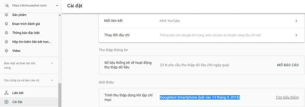 search console dichvuseohot