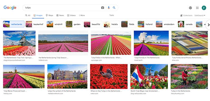 Google Suggestions
