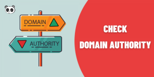 Check Domain Authority
