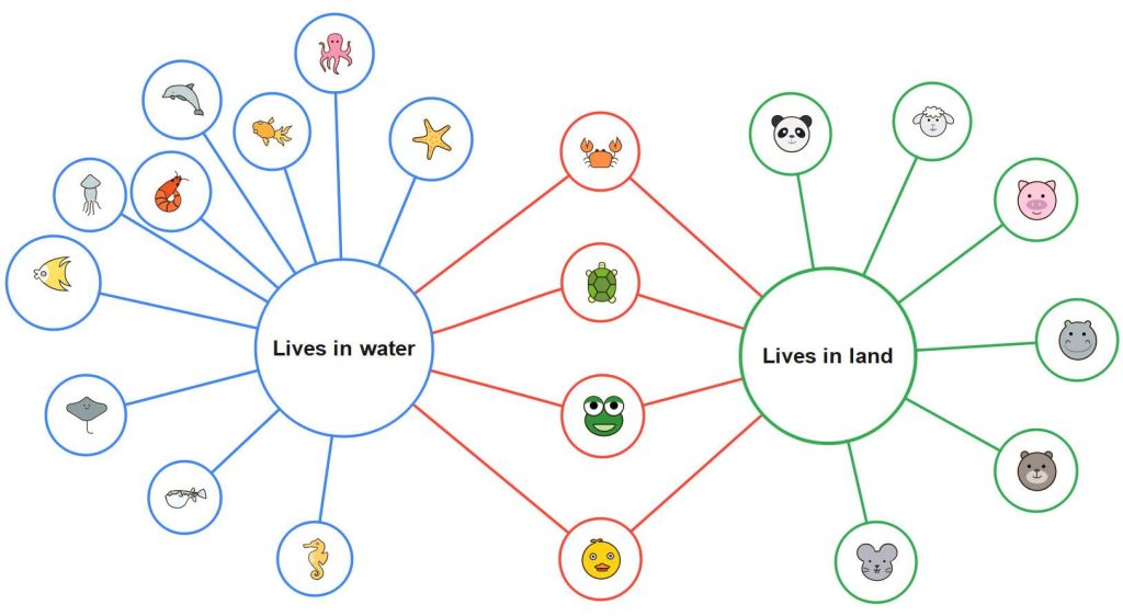 Bubble map