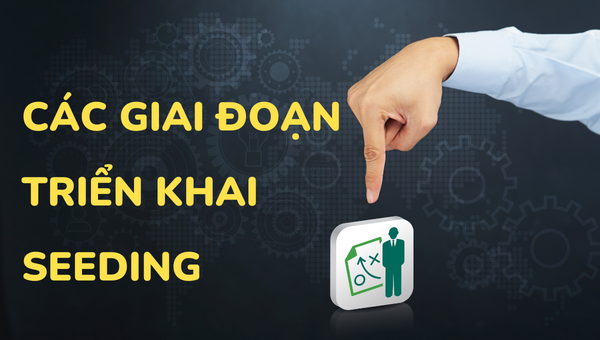Các giai đoạn triển khai Seeding