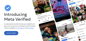 Meta Verified