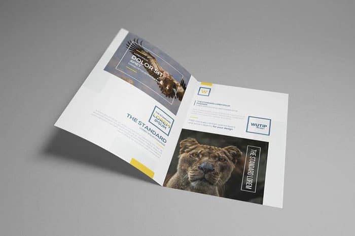 Brochure gấp đôi