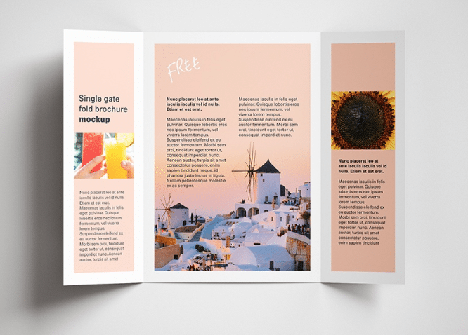 Brochure gấp cổng