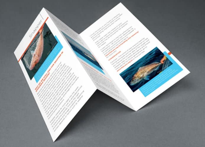 Brochure gấp chữ Z