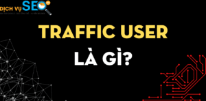 Traffic User là gì? Có nên dùng Traffic User để làm SEO?